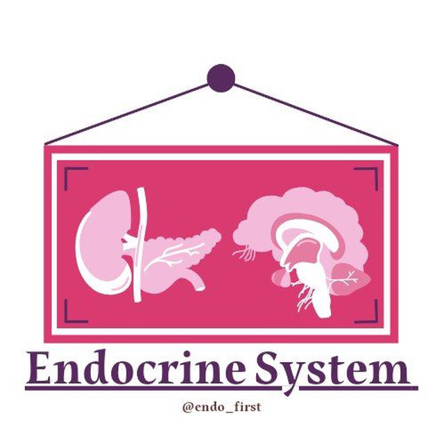 Endocrine System Channel