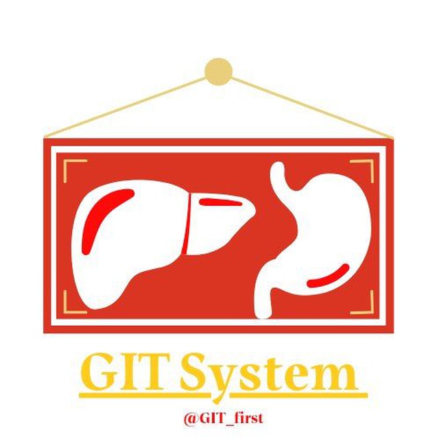 Gastrointestinal System Channel