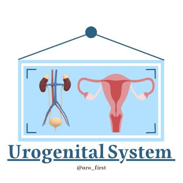 Urogenital System Channel
